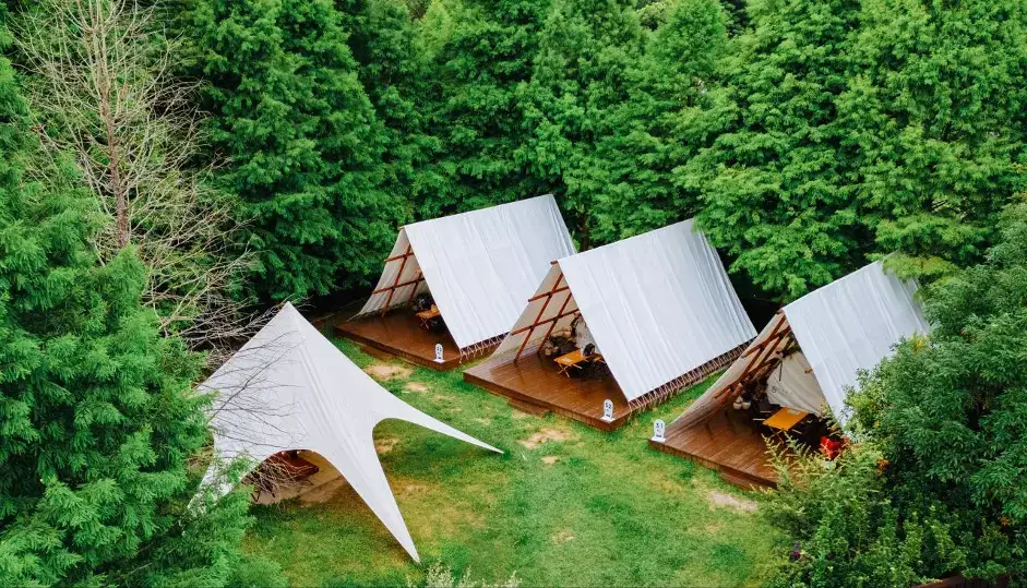 苗栗頭屋｜叢林開始