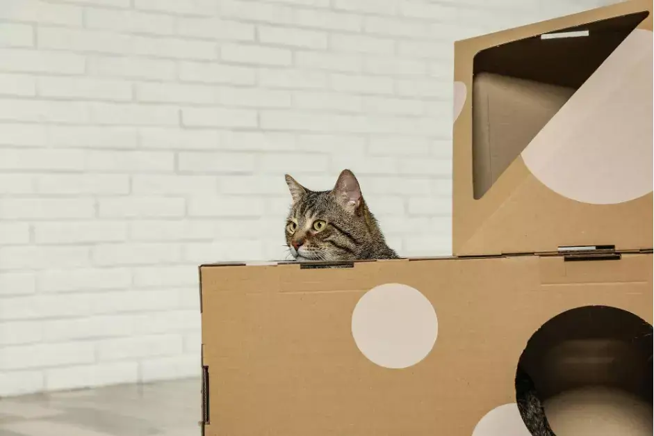 安全死角及重點佈置 