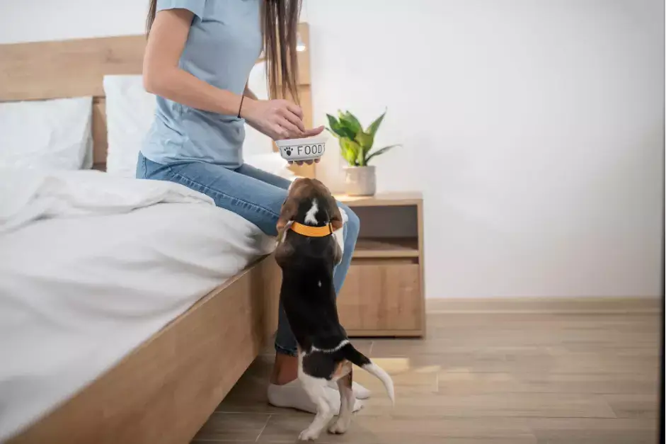 健康觀察與安撫技巧